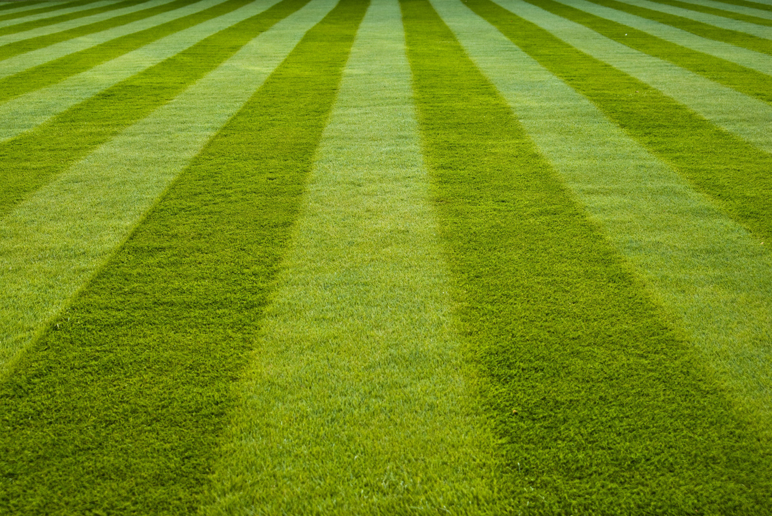 What Is Artificial Lawn Grass Turf?