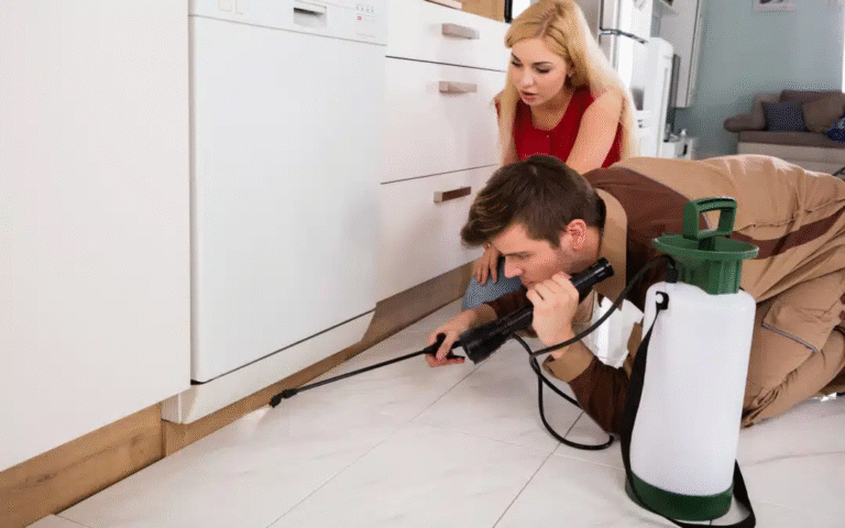 Top Strategies for Preventing Common Household Pests