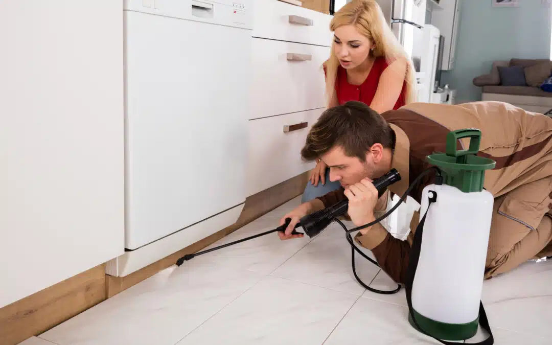 Top Strategies for Preventing Common Household Pests