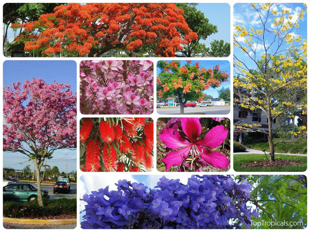 How Ancient Cultures Used Winter Flowers to Celebrate Rebirth and Hope